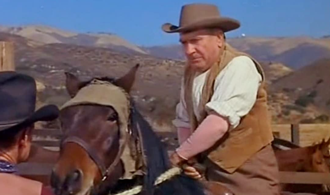 the hayburner