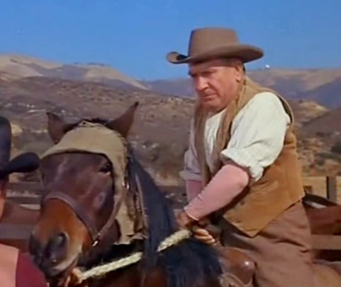 the hayburner