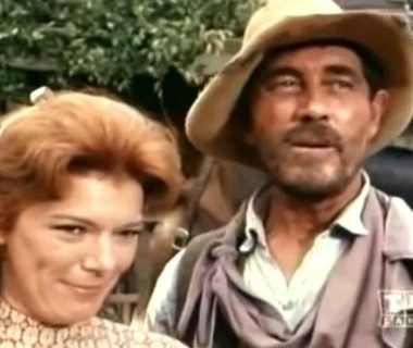gunsmoke abelia