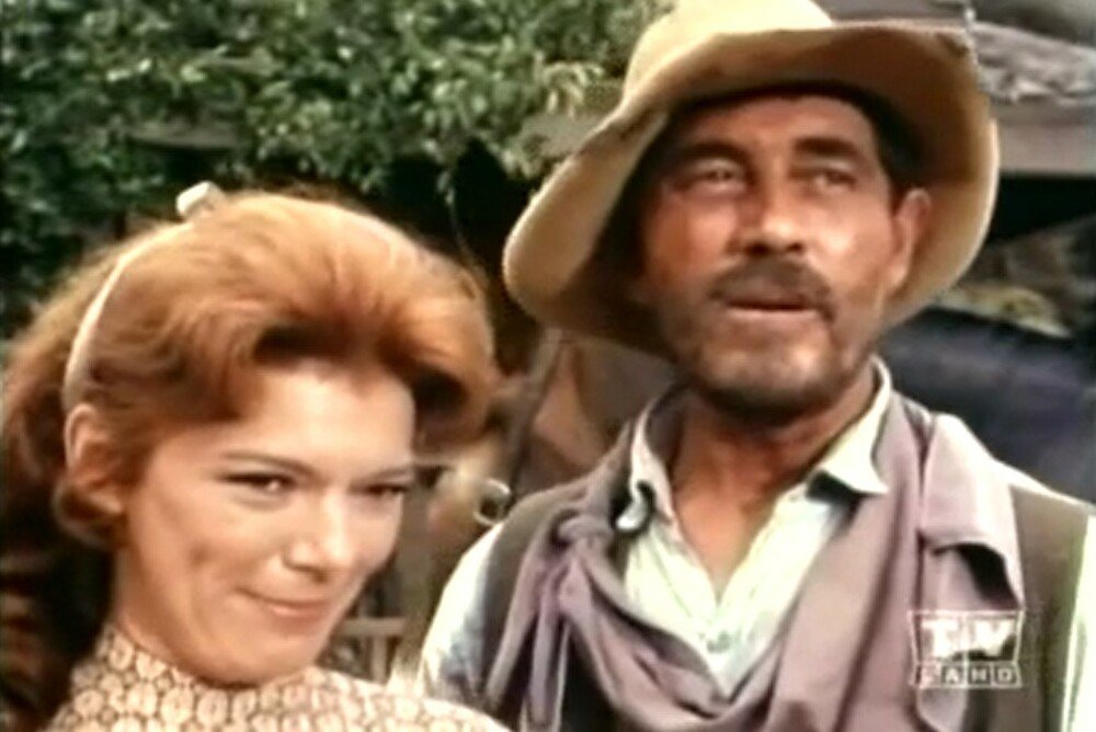 gunsmoke abelia