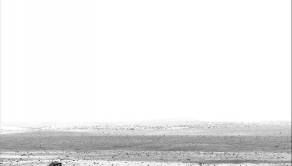 Saddle Up for Adventure: Exploring the Spirit of the American Cowboy in Anouk Masson Krantz's West